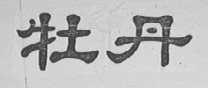 牡丹