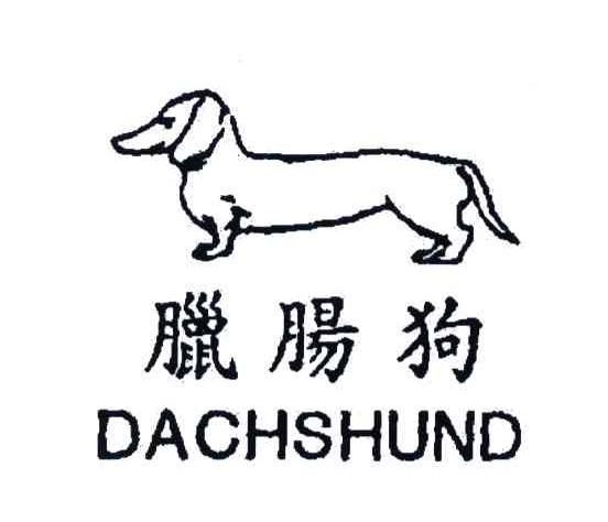 腊肠狗;DACHSHUND