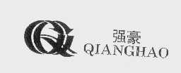 强豪