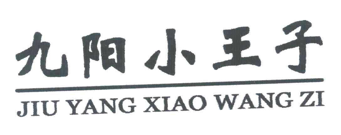九阳小王子
