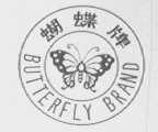 蝴蝶    BUTTERFLY