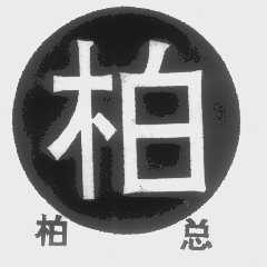 柏总   柏
