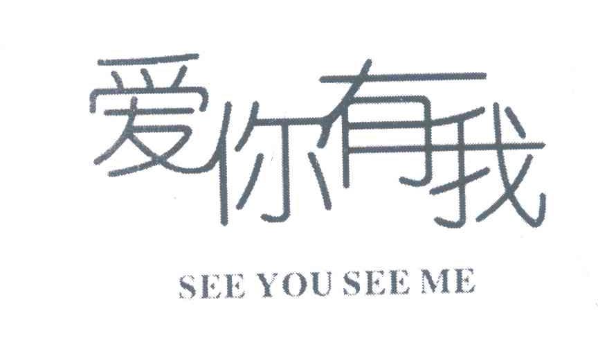 爱你有我 SEE YOU SEE ME