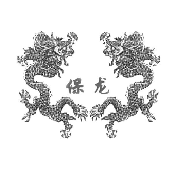 保龙