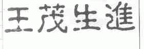 王茂生进