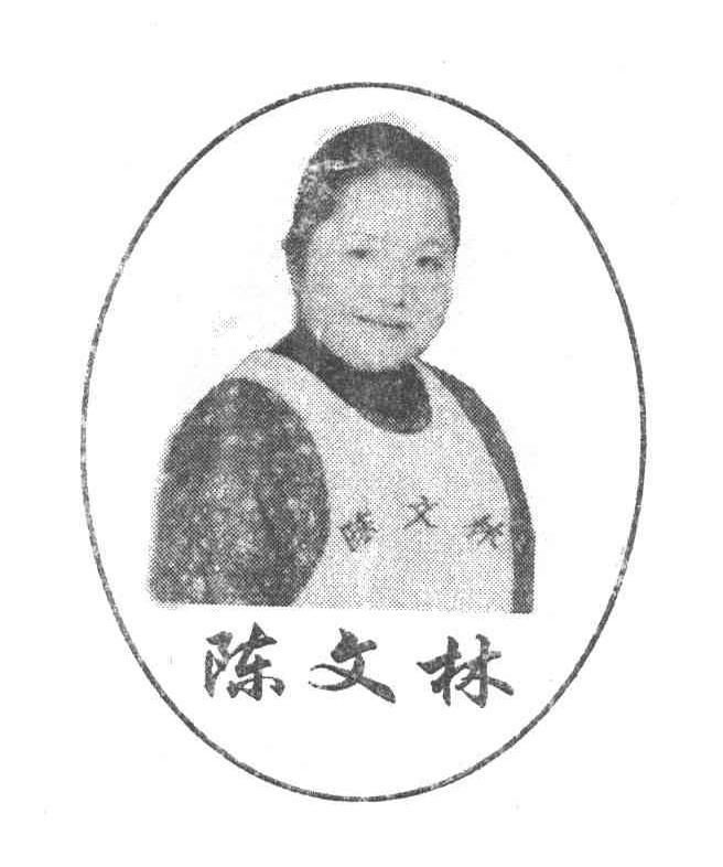 陈文林