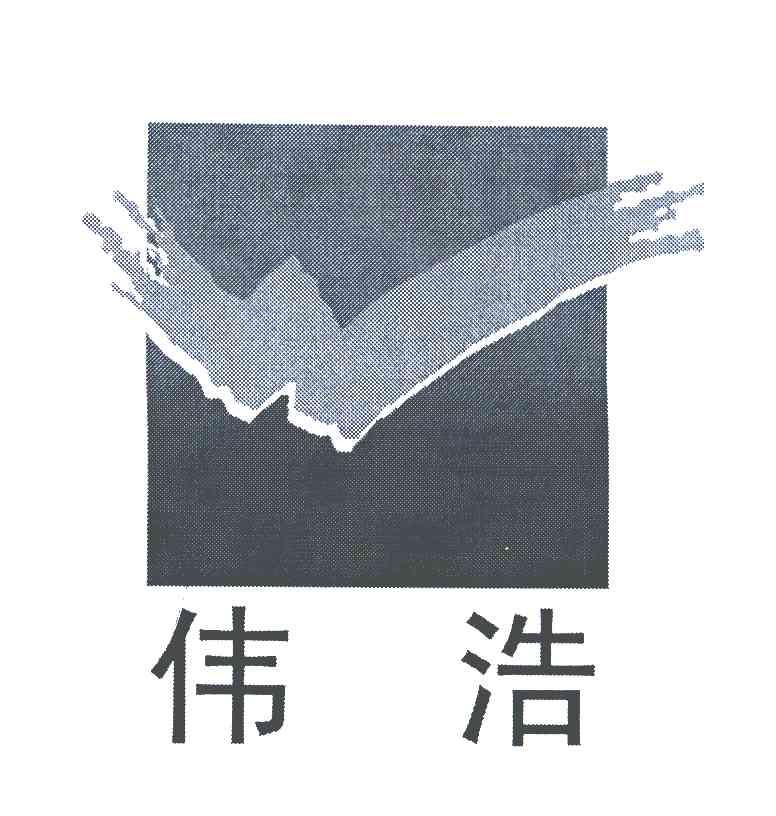 伟浩