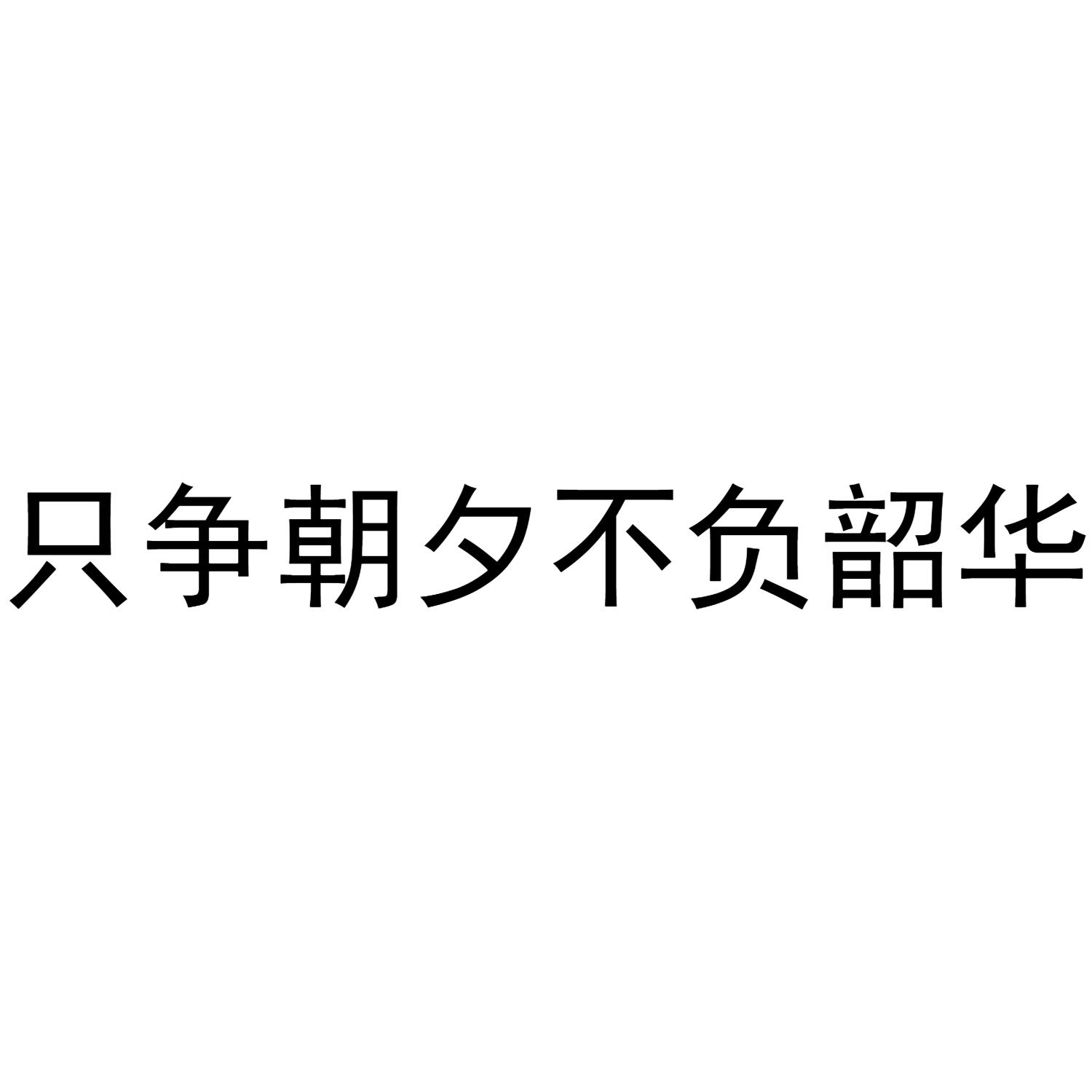 只争朝夕不负韶华