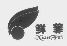 鲜菲
