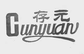 存元