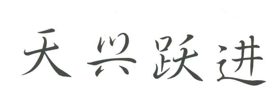 天兴跃进