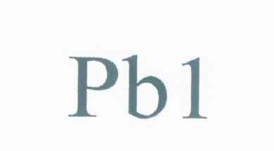 PB1