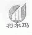 利尔玛