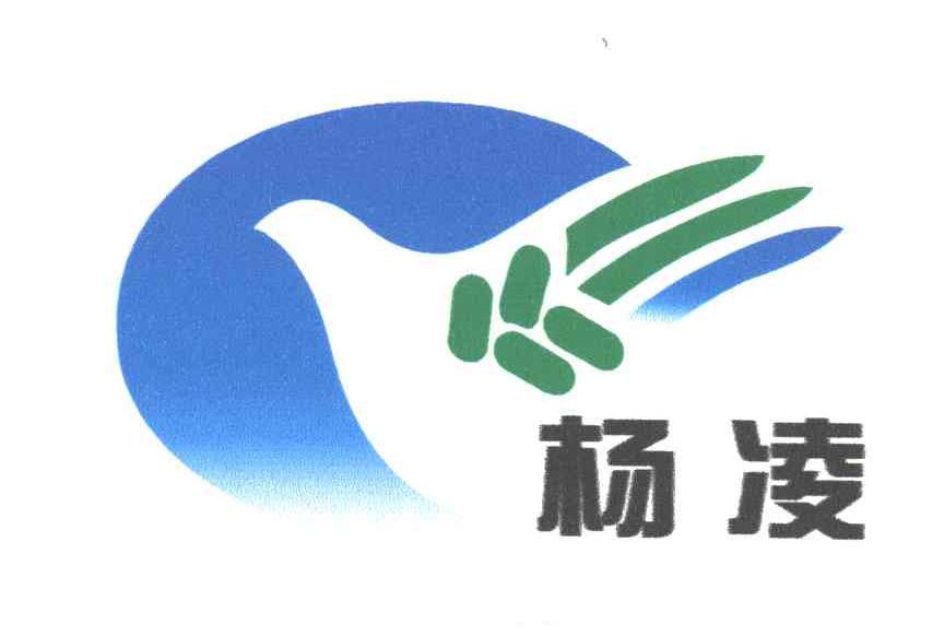 杨凌