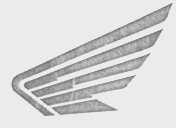 WING DEVIVE