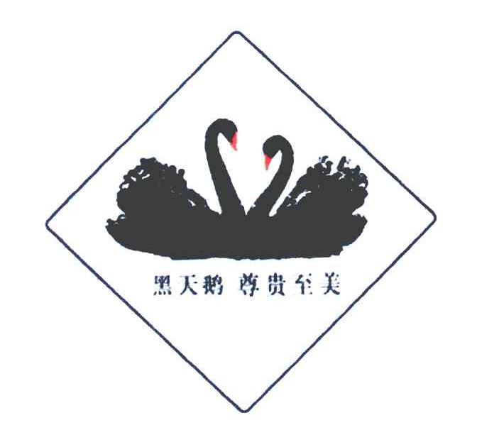 黑天鹅尊贵至美