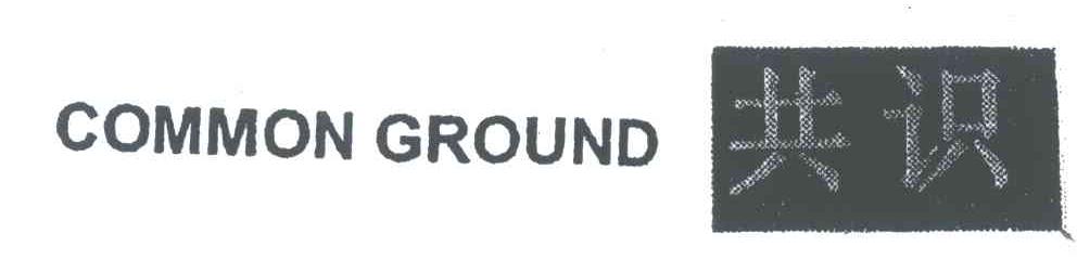 共识COMMON GROUND