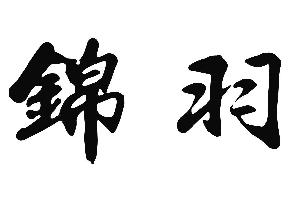 锦羽
