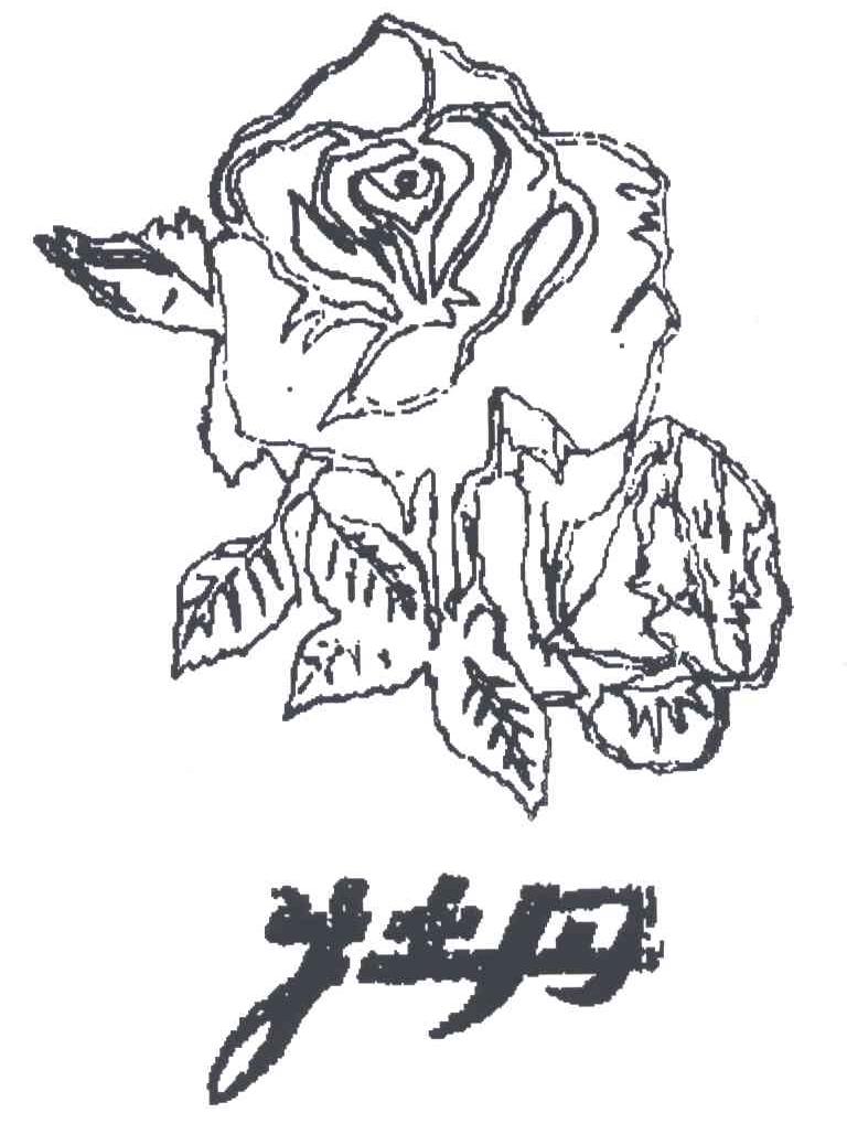 牡丹