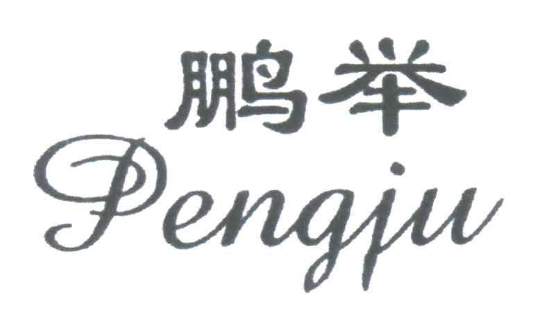 鹏举