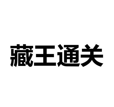 藏王通关