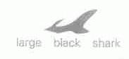 LARGE BLACK SHARK