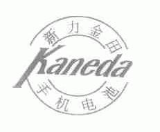 新力金田;KANEDA