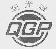 骑光