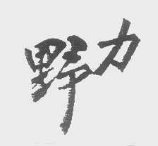 野力