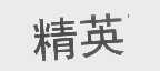 精英