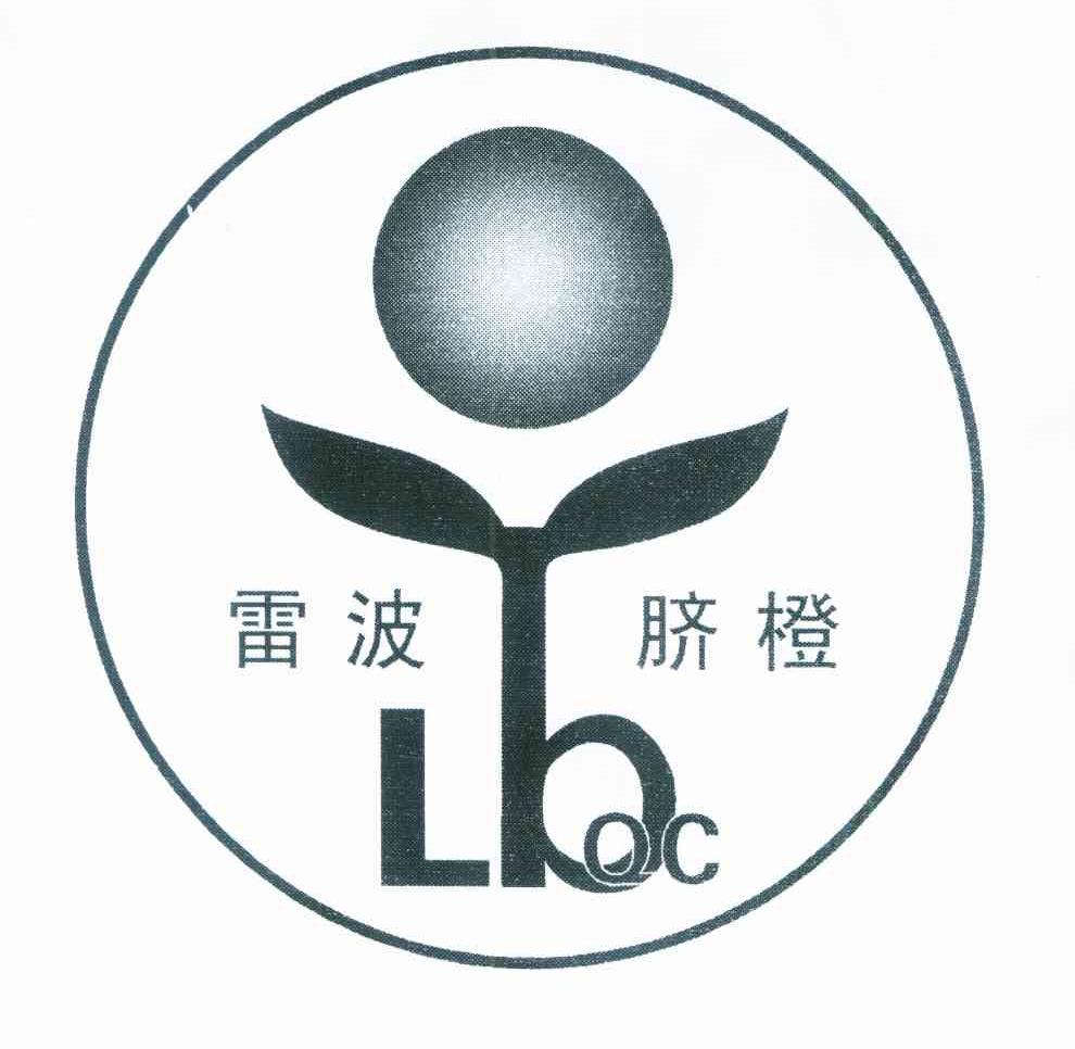 雷波脐橙 LBQC