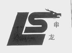 申龙