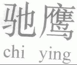 驰鹰