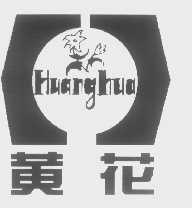 黄花
