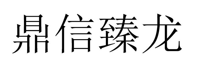 鼎信臻龙