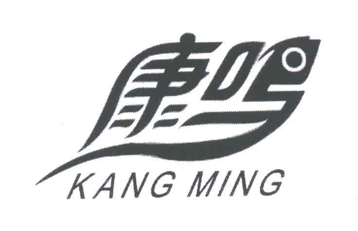 康鸣