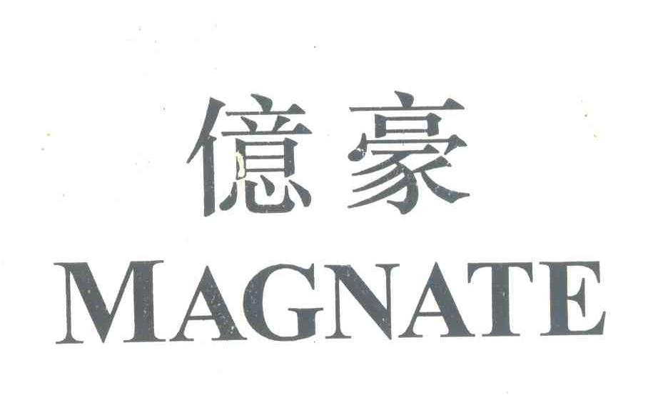 亿豪;MAGNATE