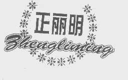 正丽明