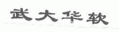 武大华软