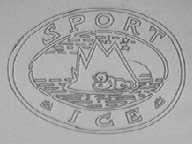 SPORT ICE
