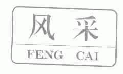 风采