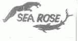 SEA ROSE