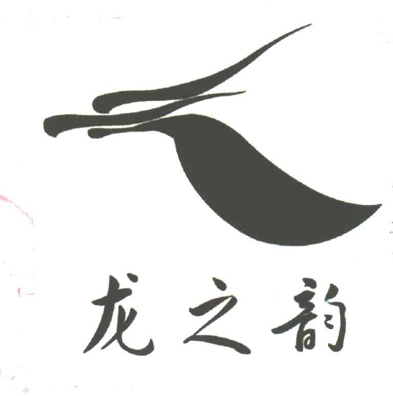 龙之韵
