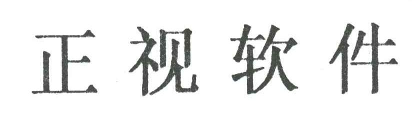 正视软件