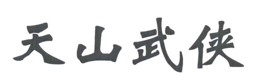 天山武侠