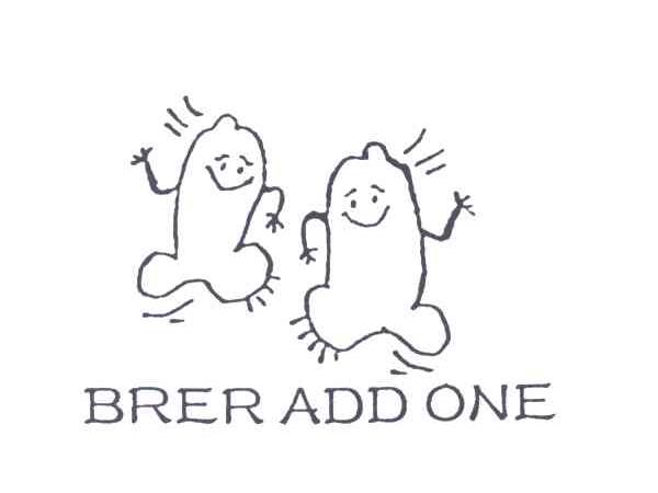 BRER ADD ONE