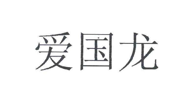 爱国龙