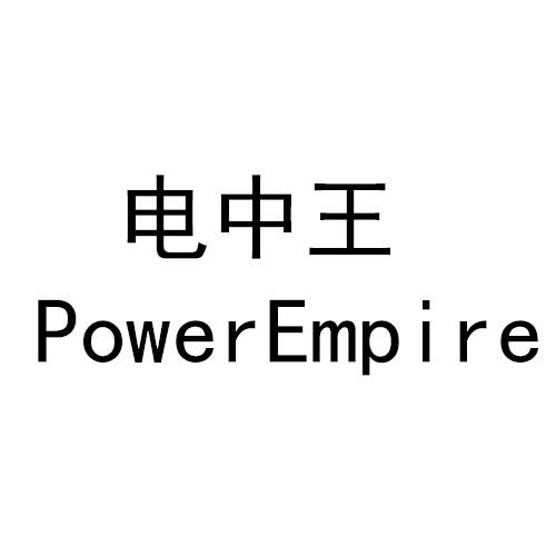 电中王 POWEREMPIRE