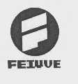 FEIYUE