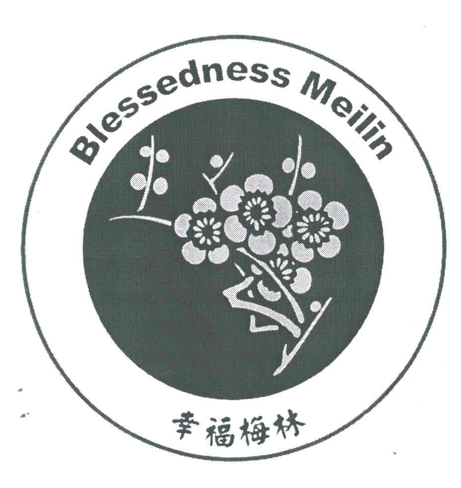 幸福梅林;BLESSEDNESS MEILIN